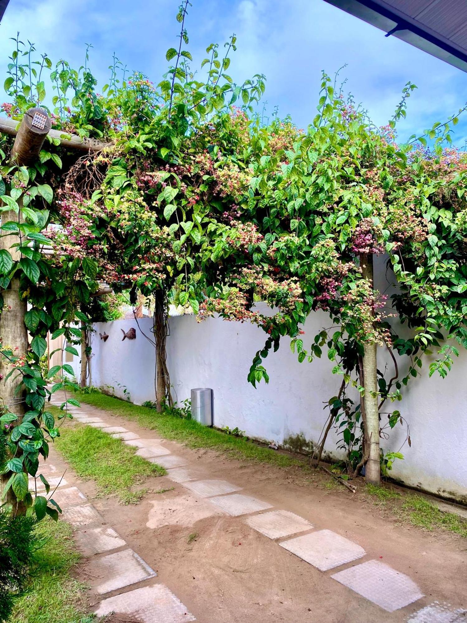 Pousada Paraíso dos Milagres São Miguel dos Milagres Exterior foto